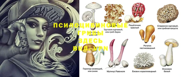 герыч Михайловск